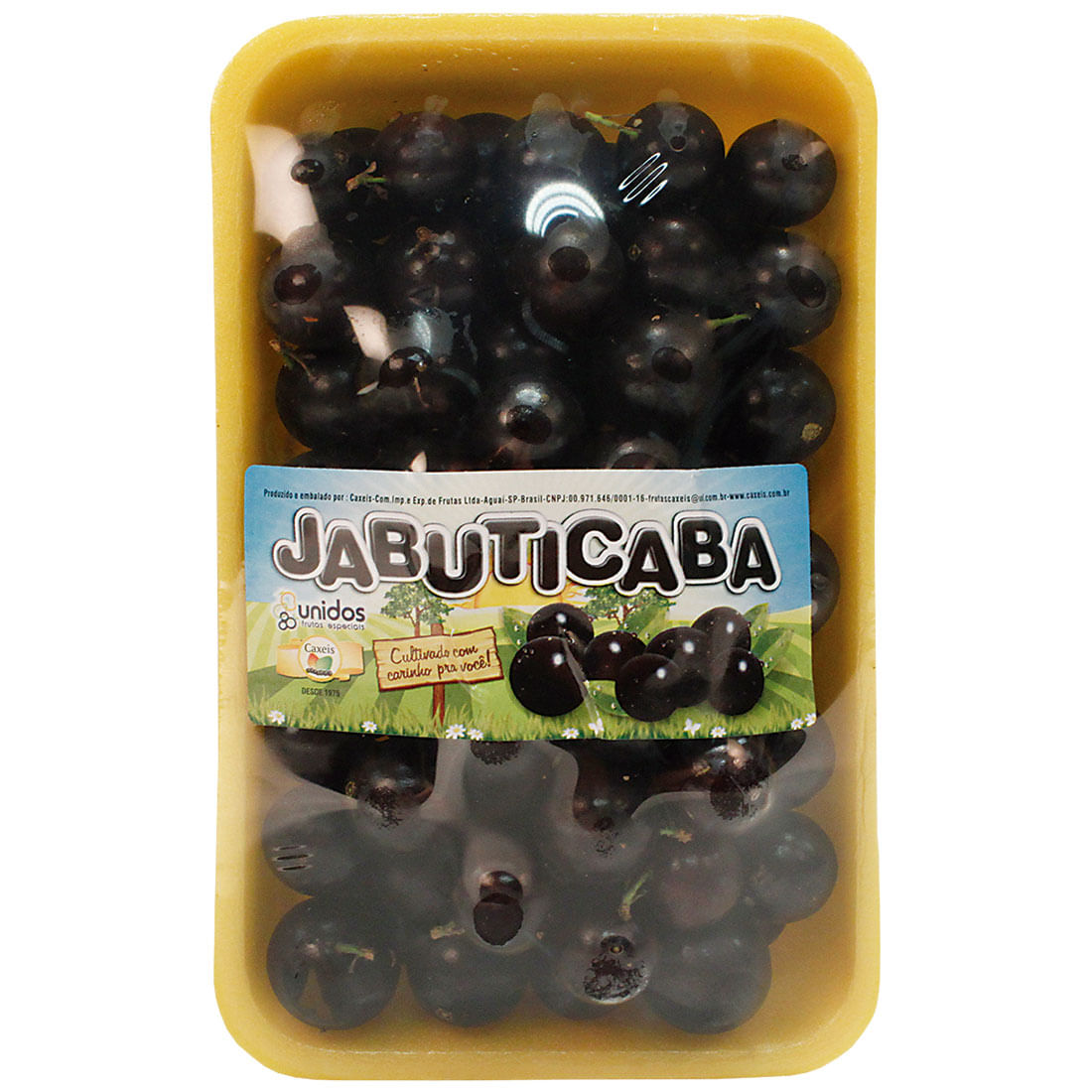 Jabuticaba 450g